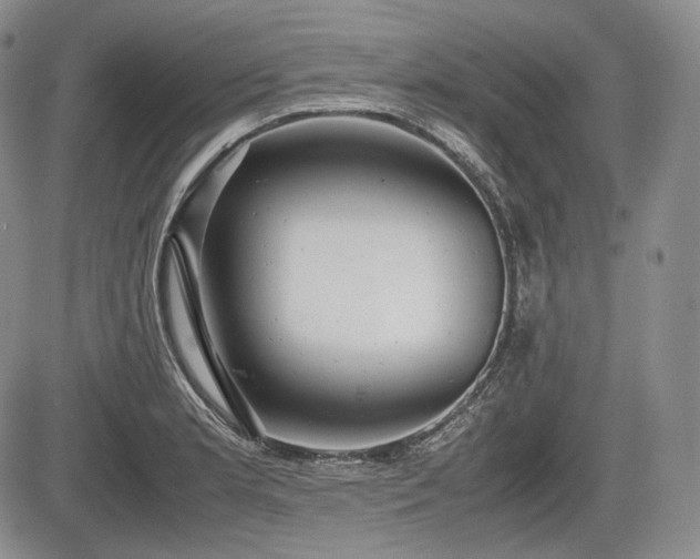 X0000085211181200703161211