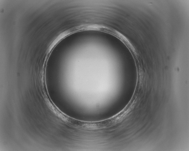 X0000085211194200703161211