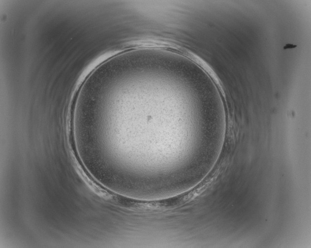 X0000085211195200703161211