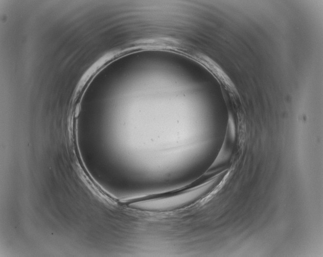 X0000085211196200703161211
