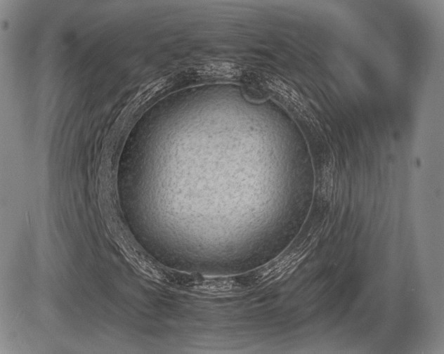 X0000085211201200703161210