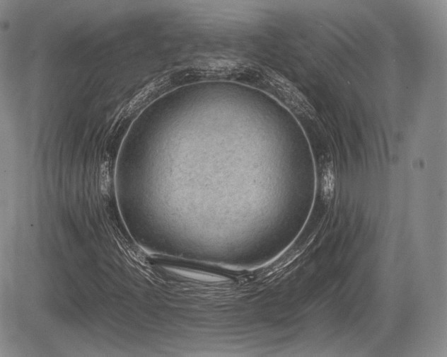 X0000085211204200703161210
