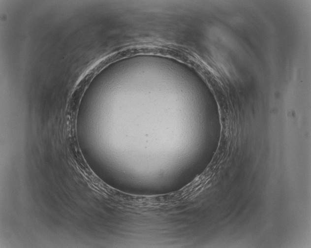 X0000085211208200703161210