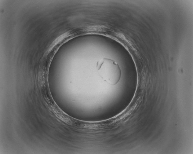 X0000085211211200703161210