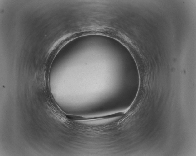 X0000085211214200703161210