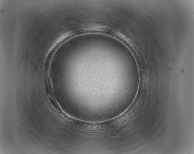 X0000085211219200703161210