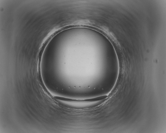 X0000085211224200703161210
