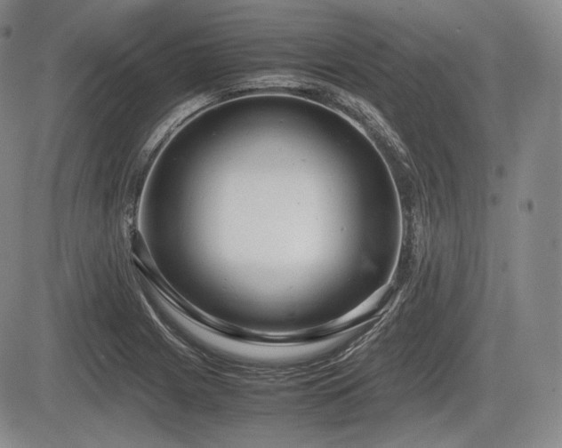X0000085211225200703161210