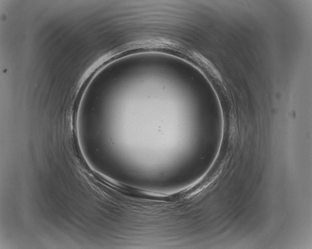 X0000085211226200703161210