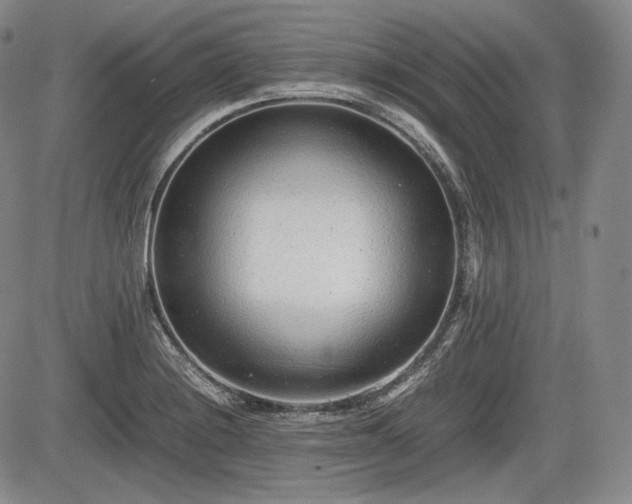 X0000085211228200703161211