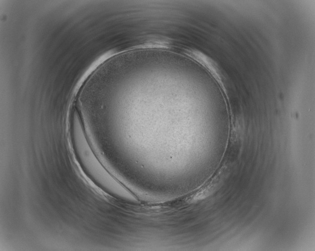 X0000085211243200703161211