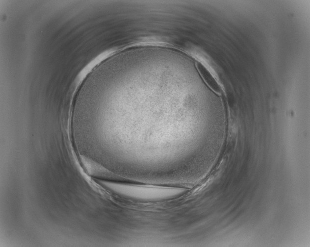 X0000085211245200703161211