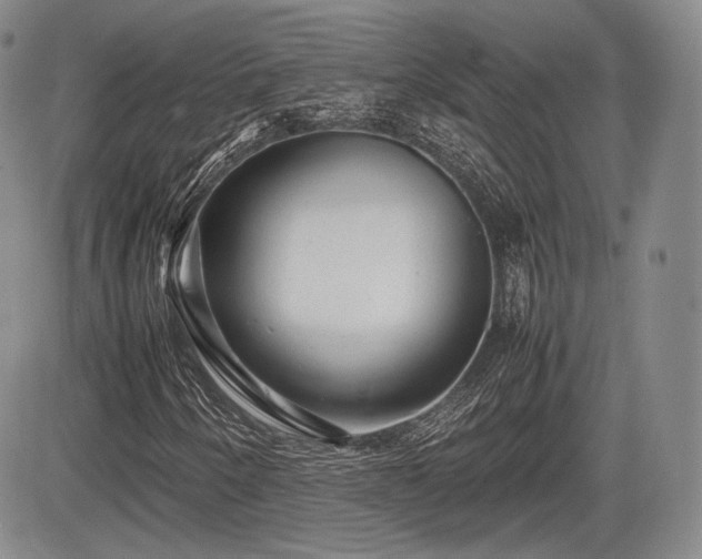 X0000085211250200703161210