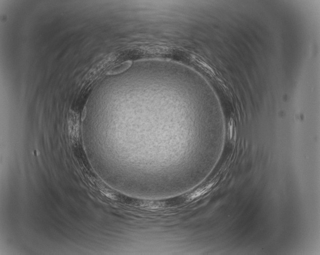 X0000085211251200703161210