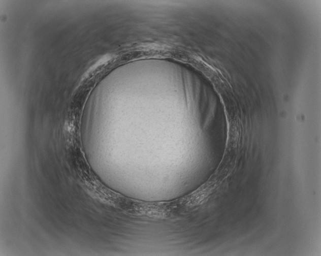 X0000085211254200703161210