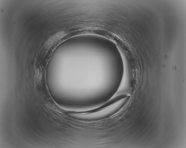 X0000085211257200703161210
