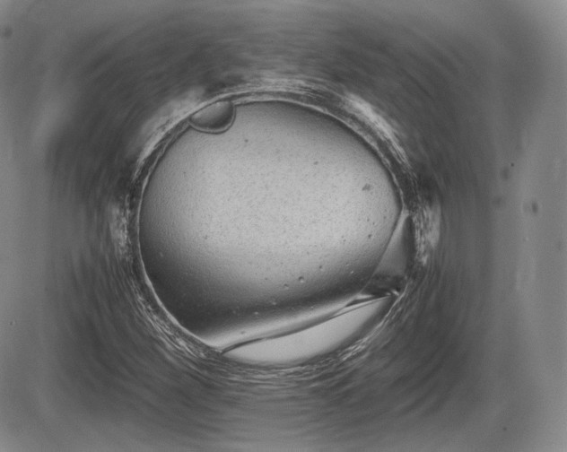 X0000085211260200703161210