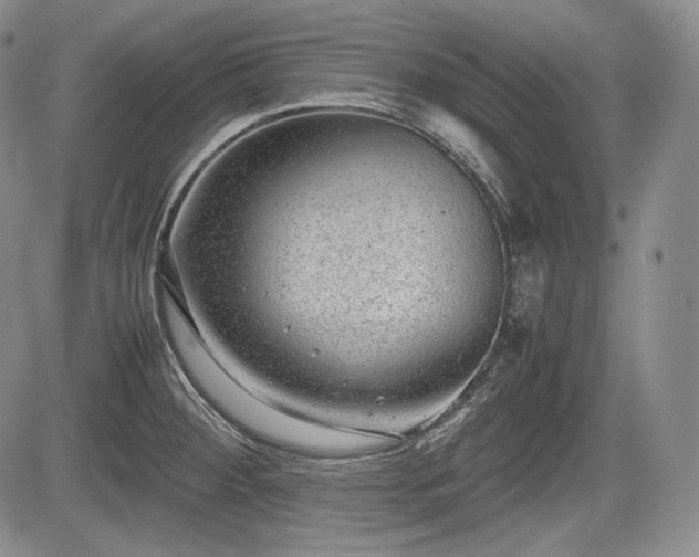 X0000085211284200703161209