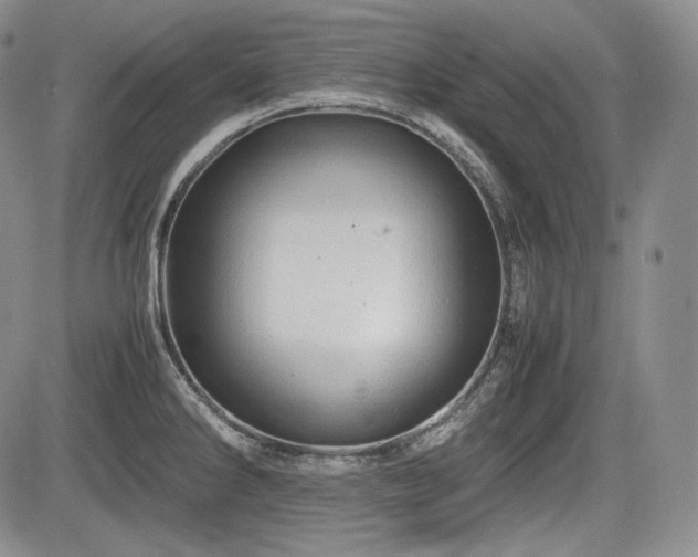 X0000085211286200703161209