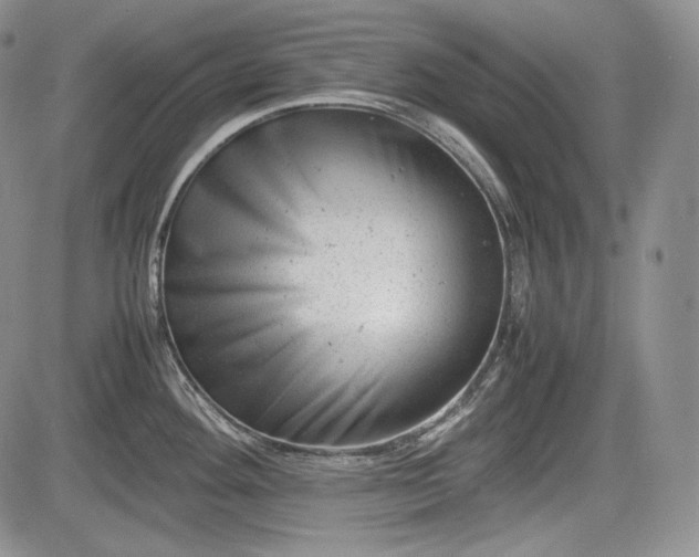X0000085211292200703161209