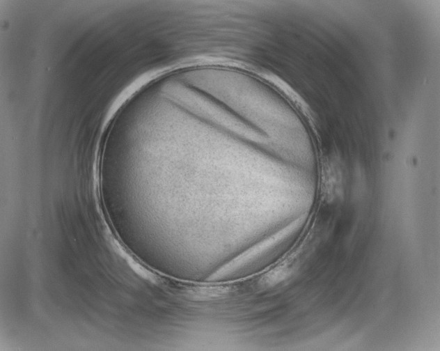 X0000085211294200703161209