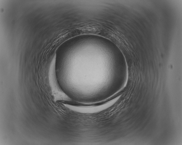X0000085211297200703161208