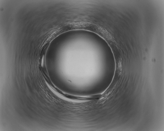 X0000085211300200703161209