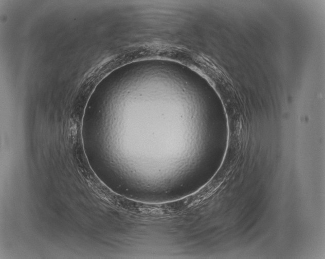 X0000085211302200703161209
