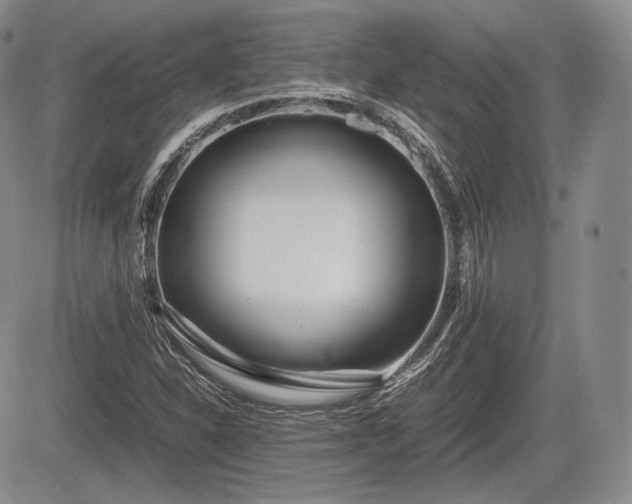 X0000085211310200703161209