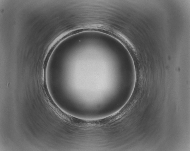 X0000085211324200703161209