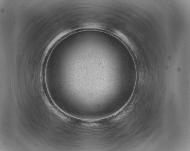 X0000085211331200703161209