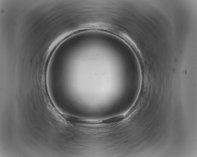 X0000085211336200703161209