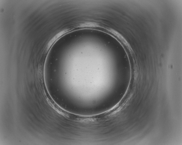 X0000085211337200703161209