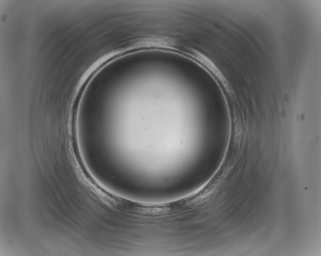 X0000085211339200703161209