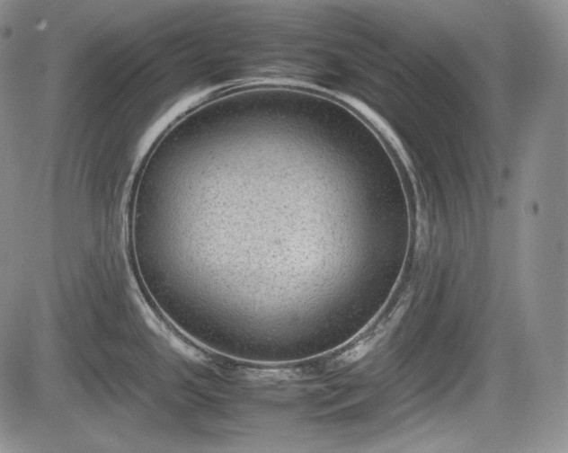 X0000085211341200703161209