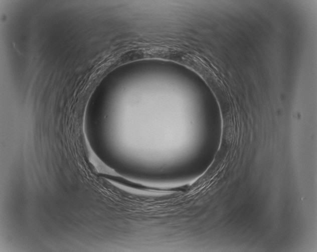 X0000085211345200703161208