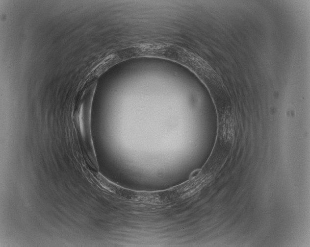 X0000085211346200703161208