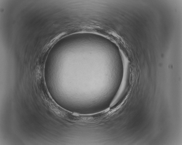 X0000085211353200703161208