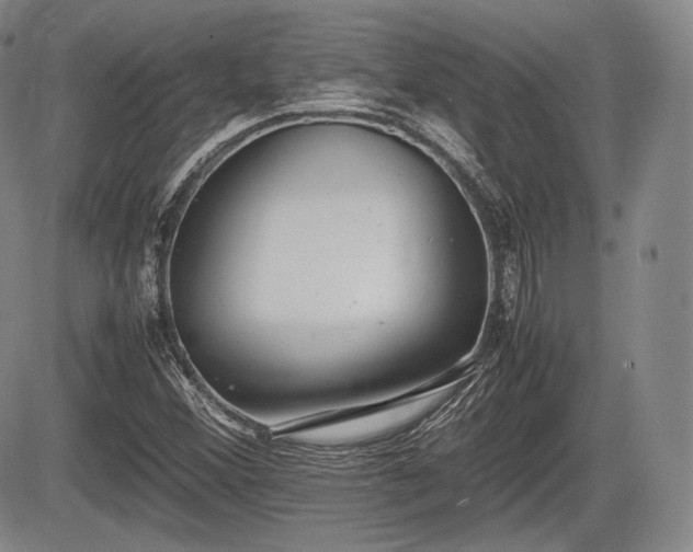 X0000085211356200703161208