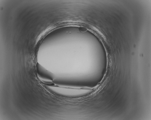 X0000085211357200703161208