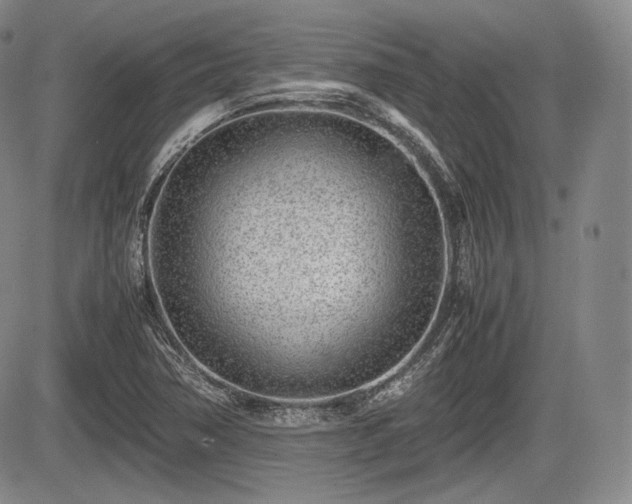 X0000085211362200703161208