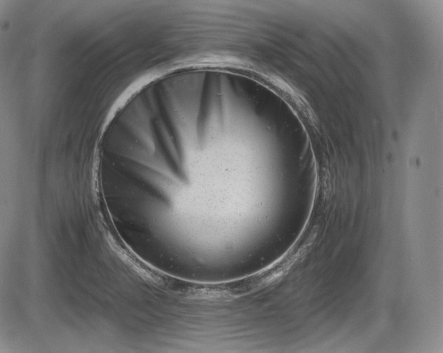 X0000085211374200703161208