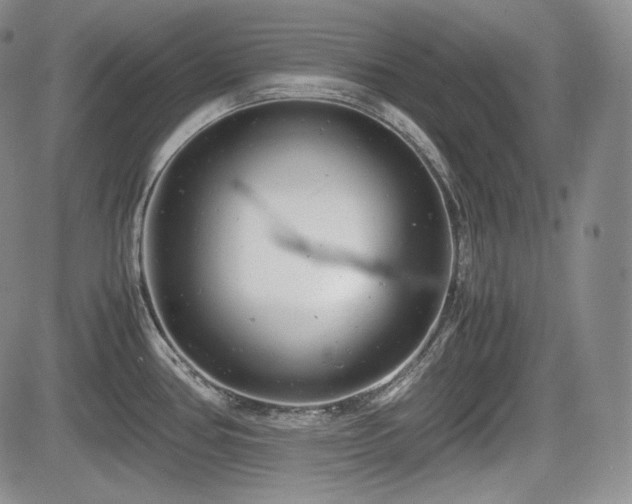 X0000085211386200703161208