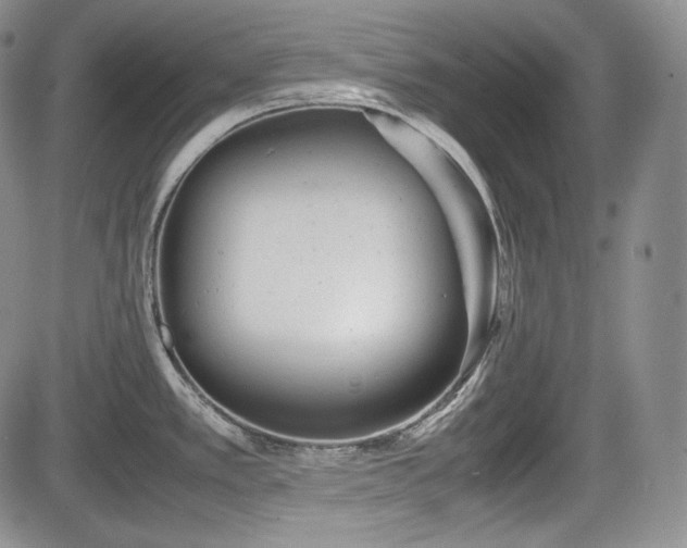 X0000085211389200703161208