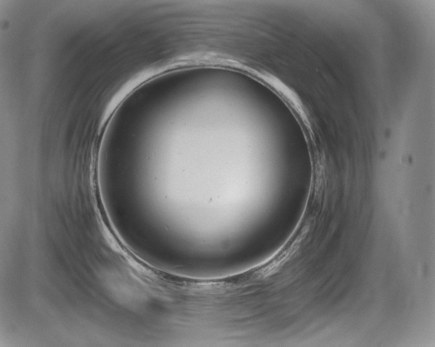 X0000085211390200703161208