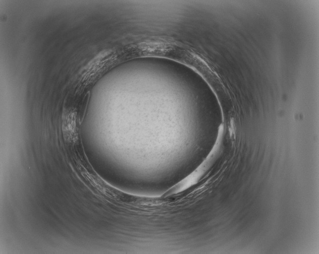 X0000085211396200703161207