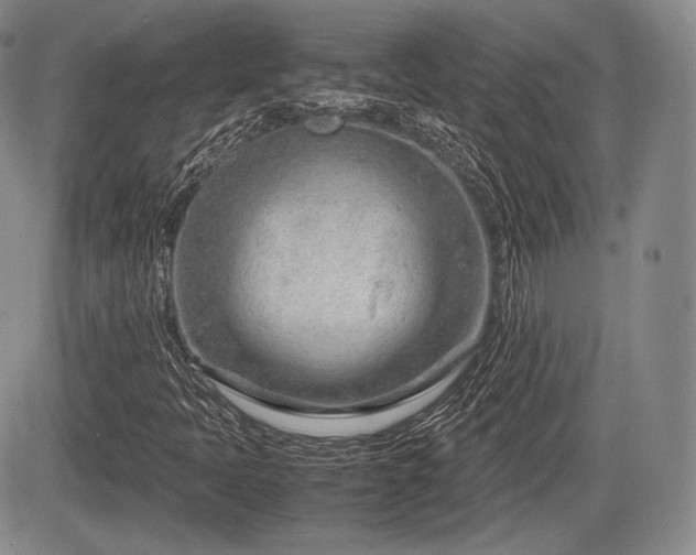 X0000085211397200703161207
