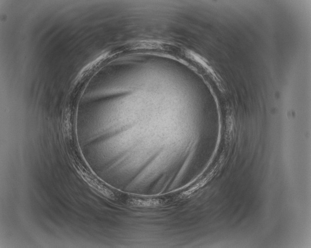 X0000085211403200703161207