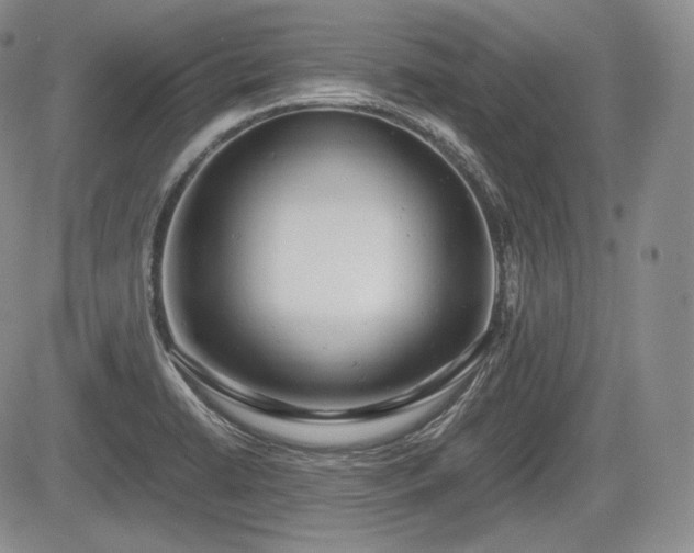 X0000085211422200703161207