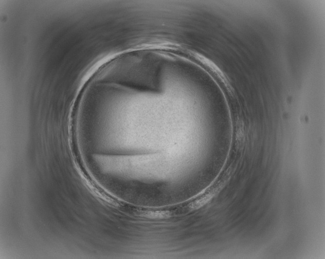 X0000085211423200703161207
